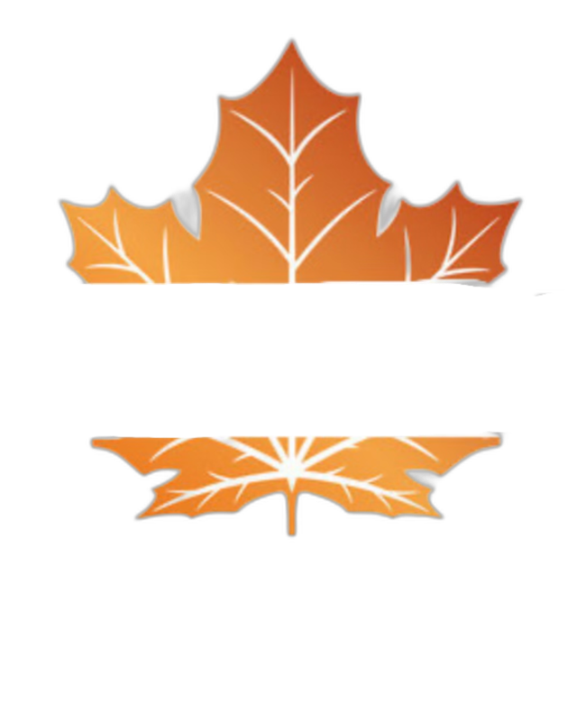 لوگو سیریر 2